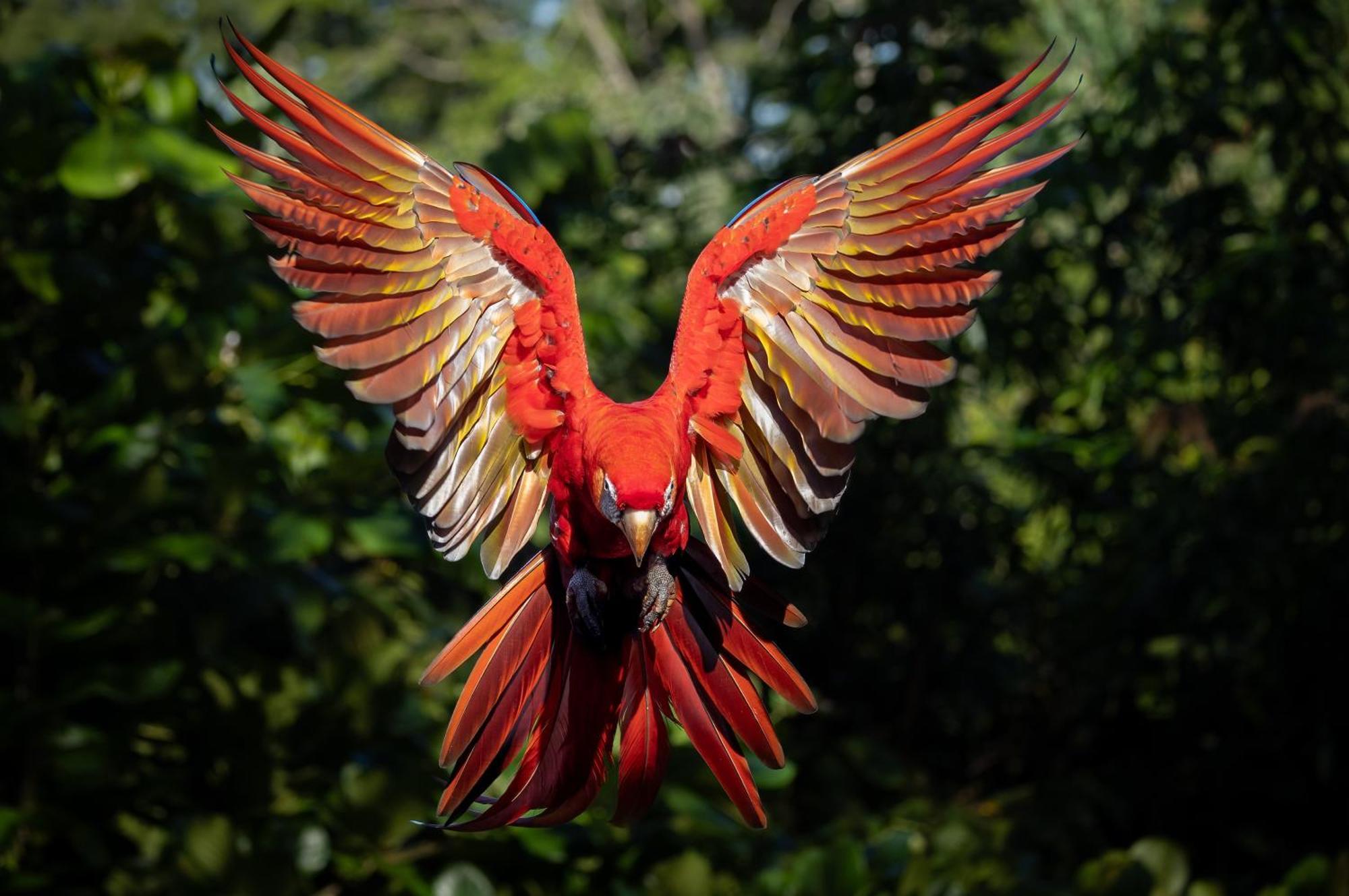 Caiman Lodge - Cuyabeno Nature Amazon Tour ภายนอก รูปภาพ