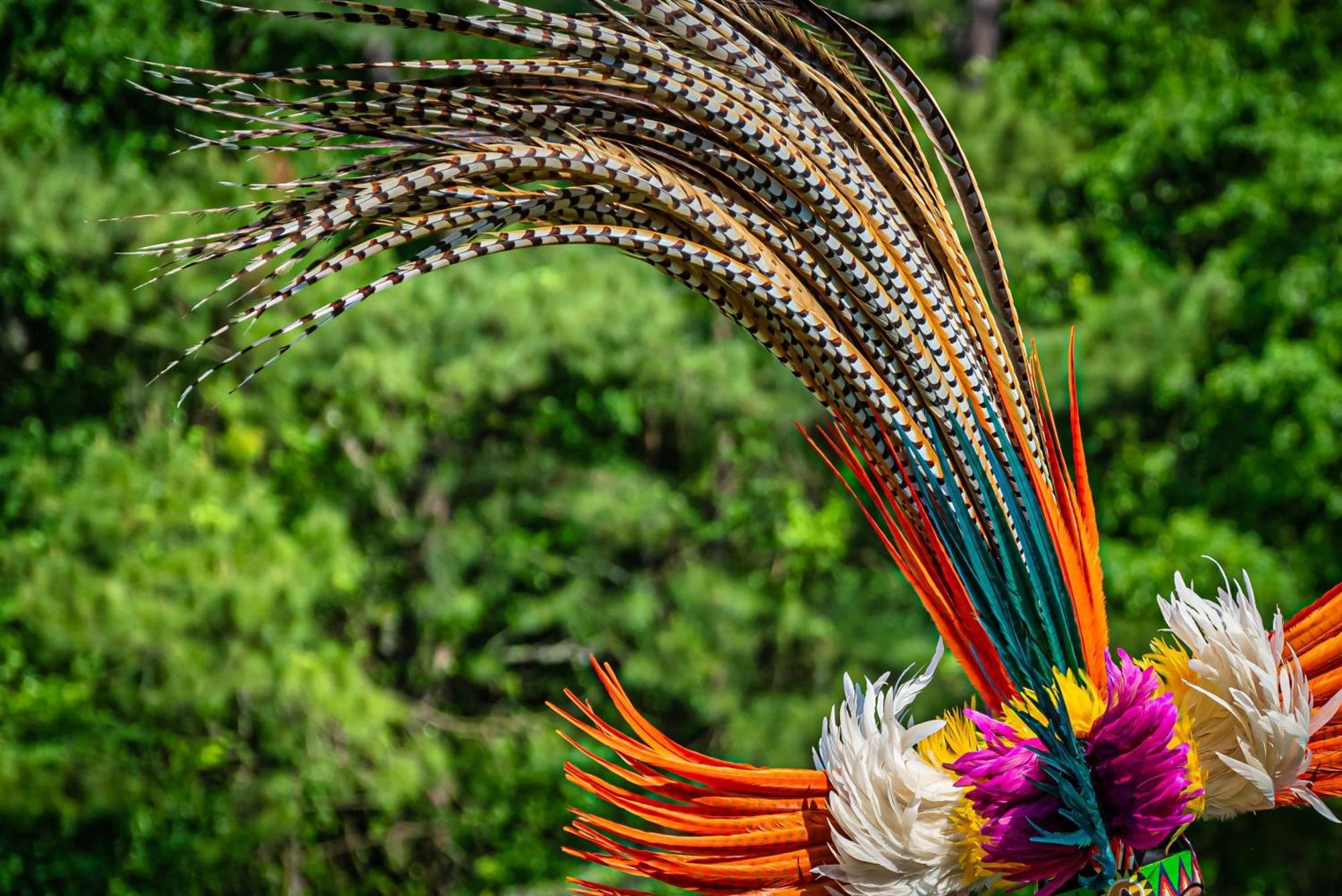 Caiman Lodge - Cuyabeno Nature Amazon Tour ภายนอก รูปภาพ