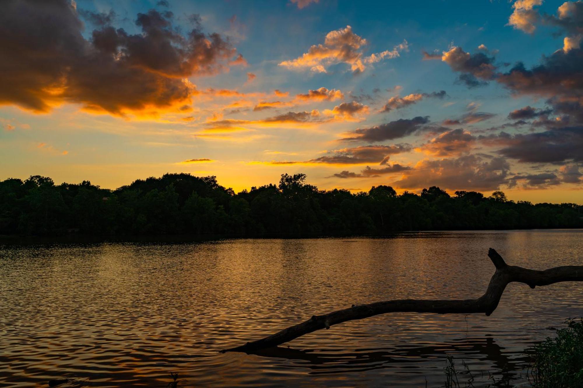 Caiman Lodge - Cuyabeno Nature Amazon Tour ภายนอก รูปภาพ