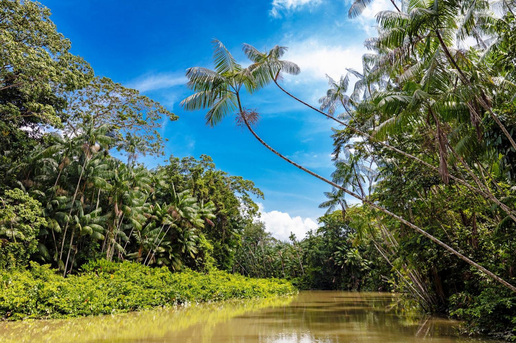 Caiman Lodge - Cuyabeno Nature Amazon Tour ภายนอก รูปภาพ