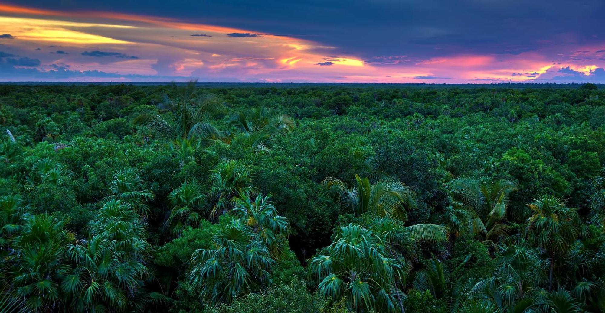 Caiman Lodge - Cuyabeno Nature Amazon Tour ภายนอก รูปภาพ
